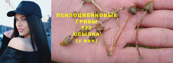 первитин Вяземский