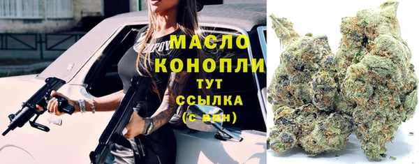 первитин Вяземский