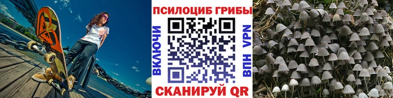 ссылка на мегу ТОР  Камбарка  Галлюциногенные грибы Psilocybe 